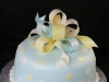 Special Event Cake